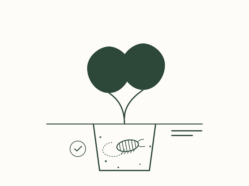 The Detritivore Function in Soil Ecosystems