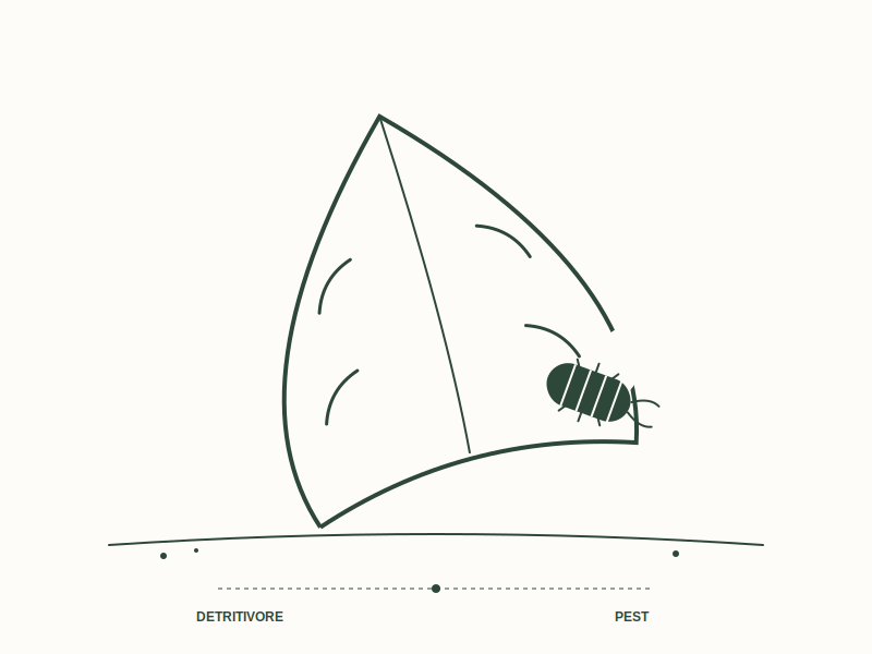 Conditions for Consumption of Living Tissue