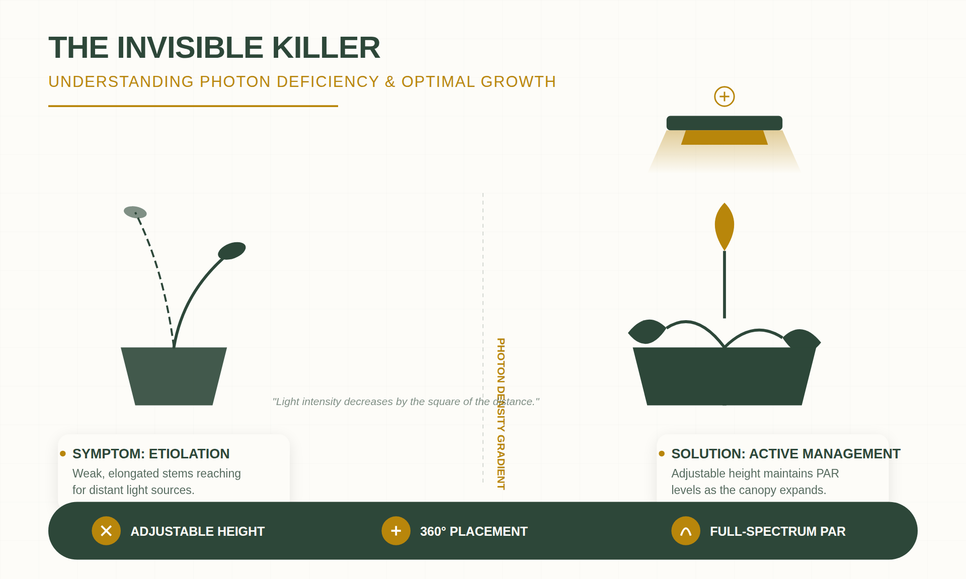 Etiolation and Light Attenuation in Indoor Environments