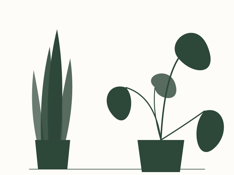 7 Large Low-Maintenance Indoor Plants