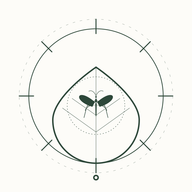 Effective Strategies for Managing Persistent Fungus Gnat Infestations