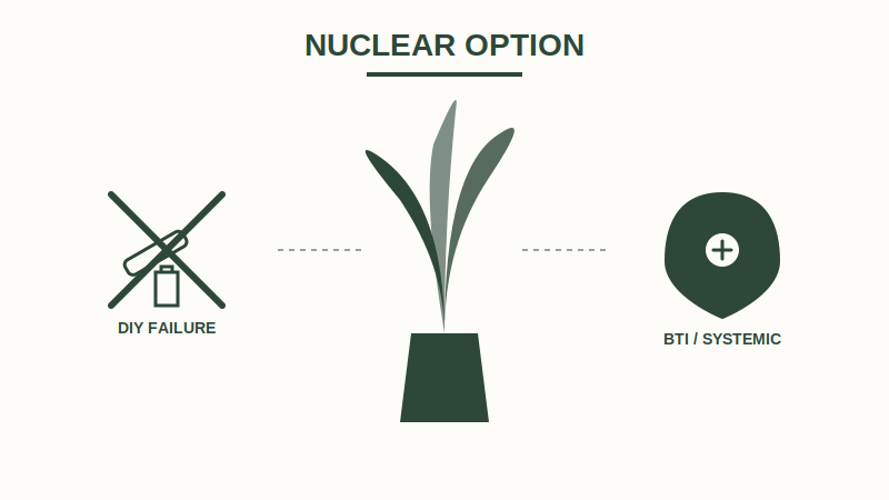 Why Cinnamon and Hydrogen Peroxide limitations