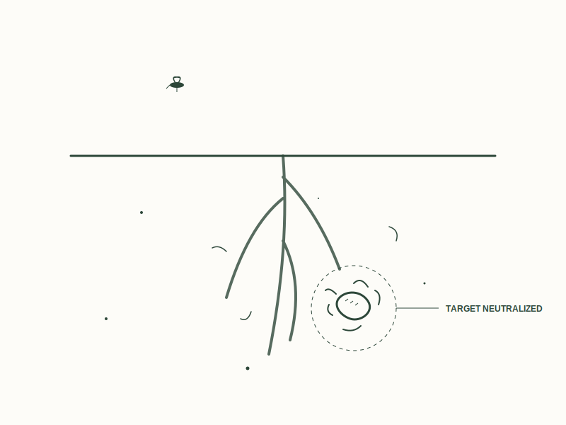 Subsurface treatment: Using Steinernema Feltiae Nematodes