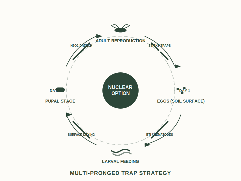 Breaking the 17-Day Cycle: Integrated trap strategy