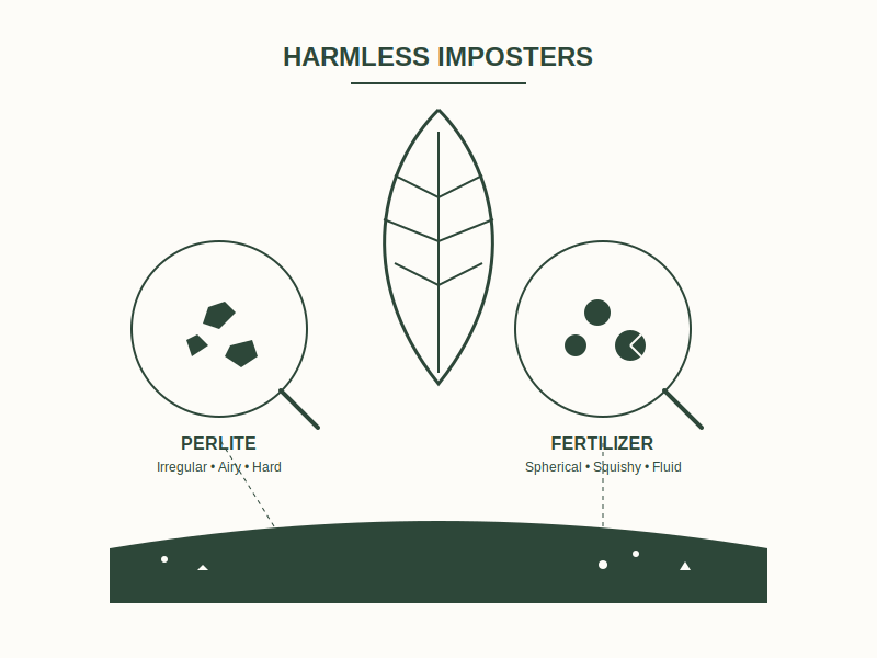 Identifying White Particles in Houseplant Soil 1 Inert Materials: Perlite and Slow-Release Fertilizer