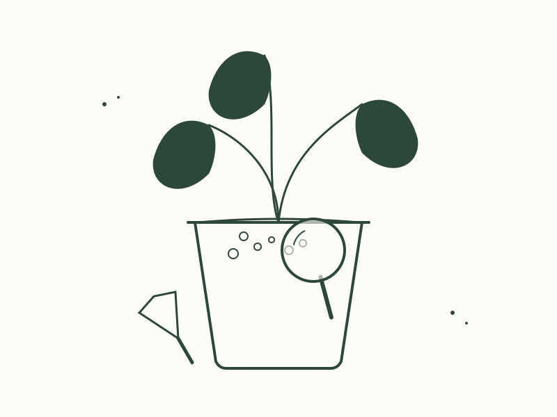 Identifying White Particles in Houseplant Soil 4 Eradication Protocols for Soil Pathogens