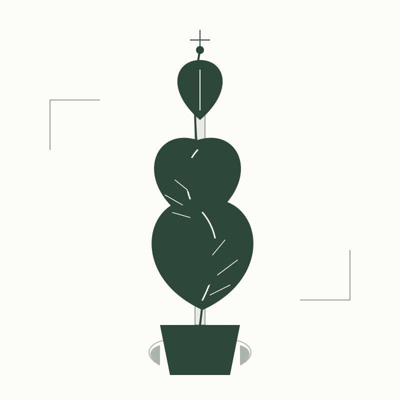 5 Methods for Growing Full and Bushy Pothos