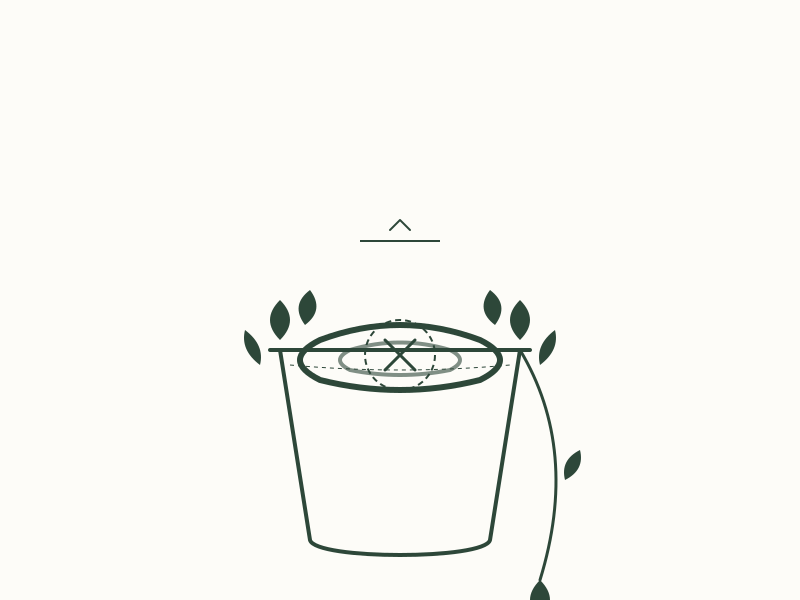 The Coiling Trap: Why Your Pothos Stays Bald on Top