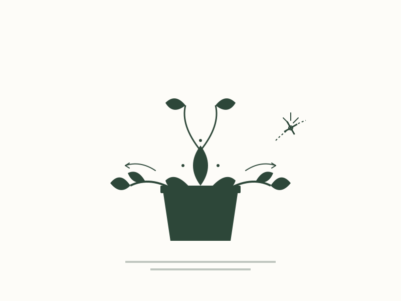 The Pruning Masterclass: Forcing Explosive Lateral Growth