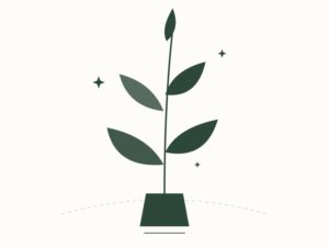 Total Pest Decontamination: How to Sanitize Your Home After an Infestation