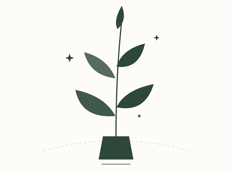 How to Sanitize Your Home After a Pest Infestation