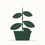 A Guide to Staking Plants for Upright Growth