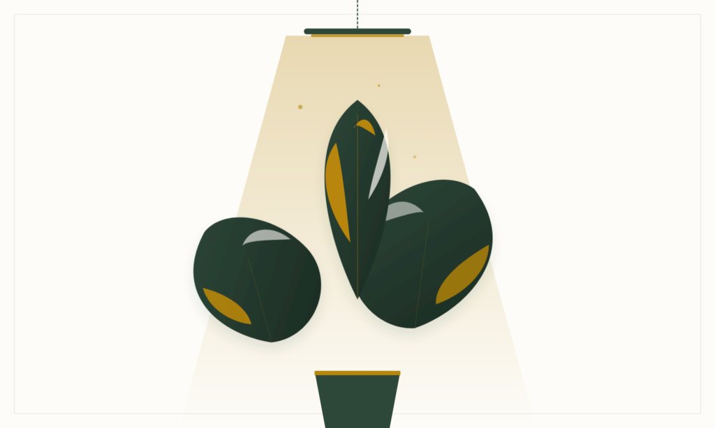 Grow Light Distance Requirements for Indoor Plants