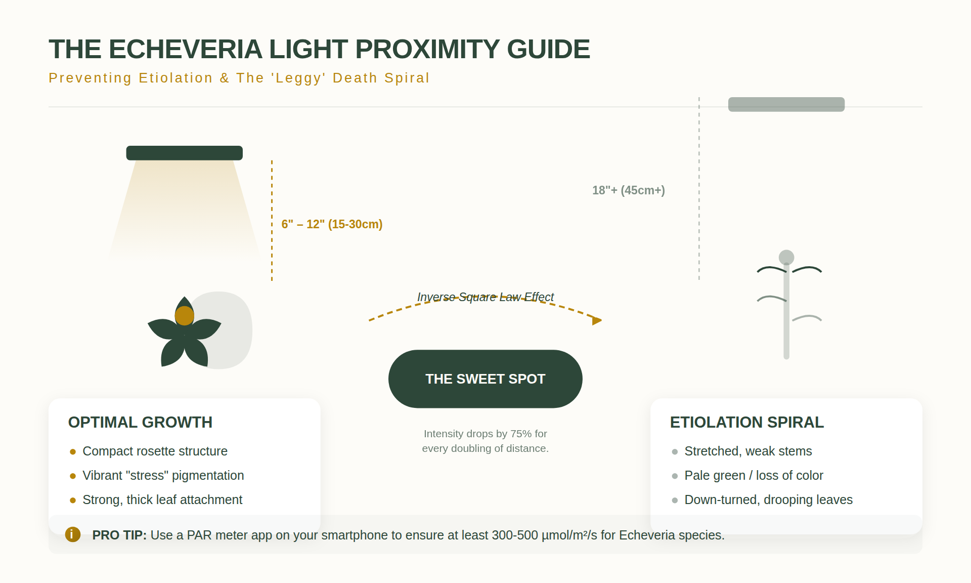Grow Light Distance Requirements for Indoor Plants 2 Succulents and Echeveria: Preventing the 'Leggy' Basement Death Spiral