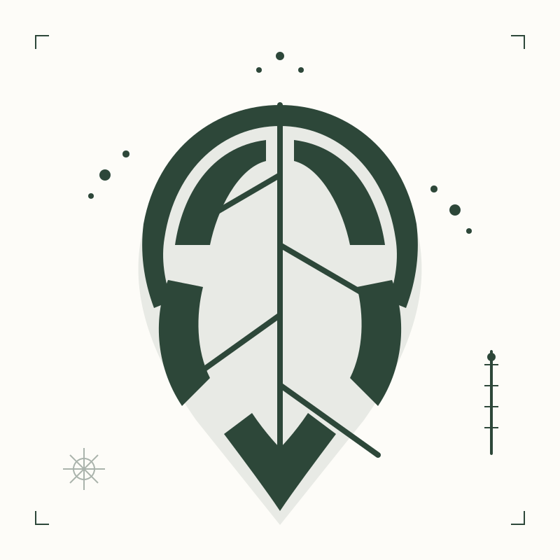 Winter Care Strategies for Tropical Houseplants