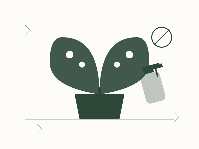 Winter Care Strategies for Tropical Houseplants 1 Technical diagram of plant transpiration and microclimate grouping