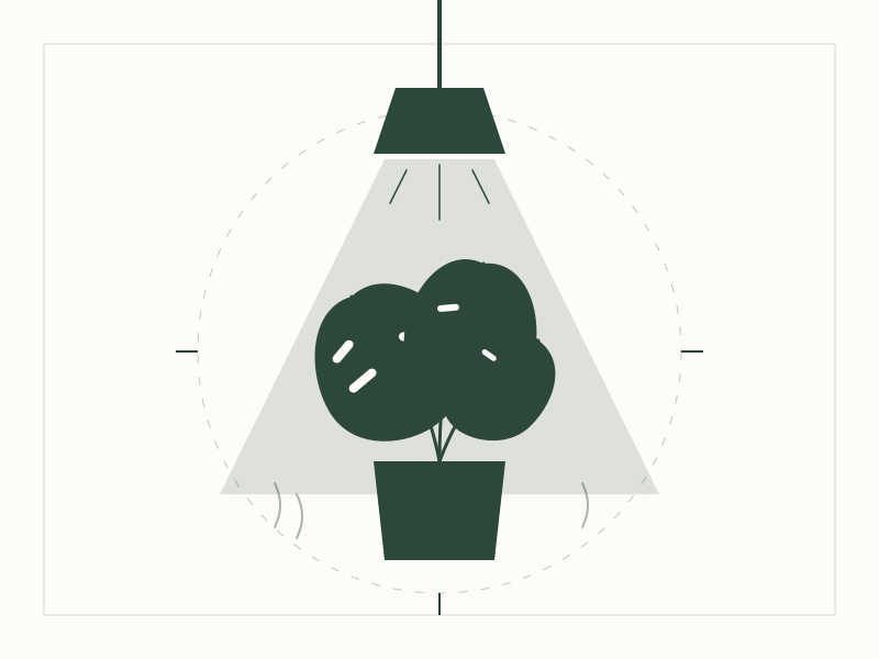 Winter Care Strategies for Tropical Houseplants 3 Technical diagram of thermal stratification and shelf placement