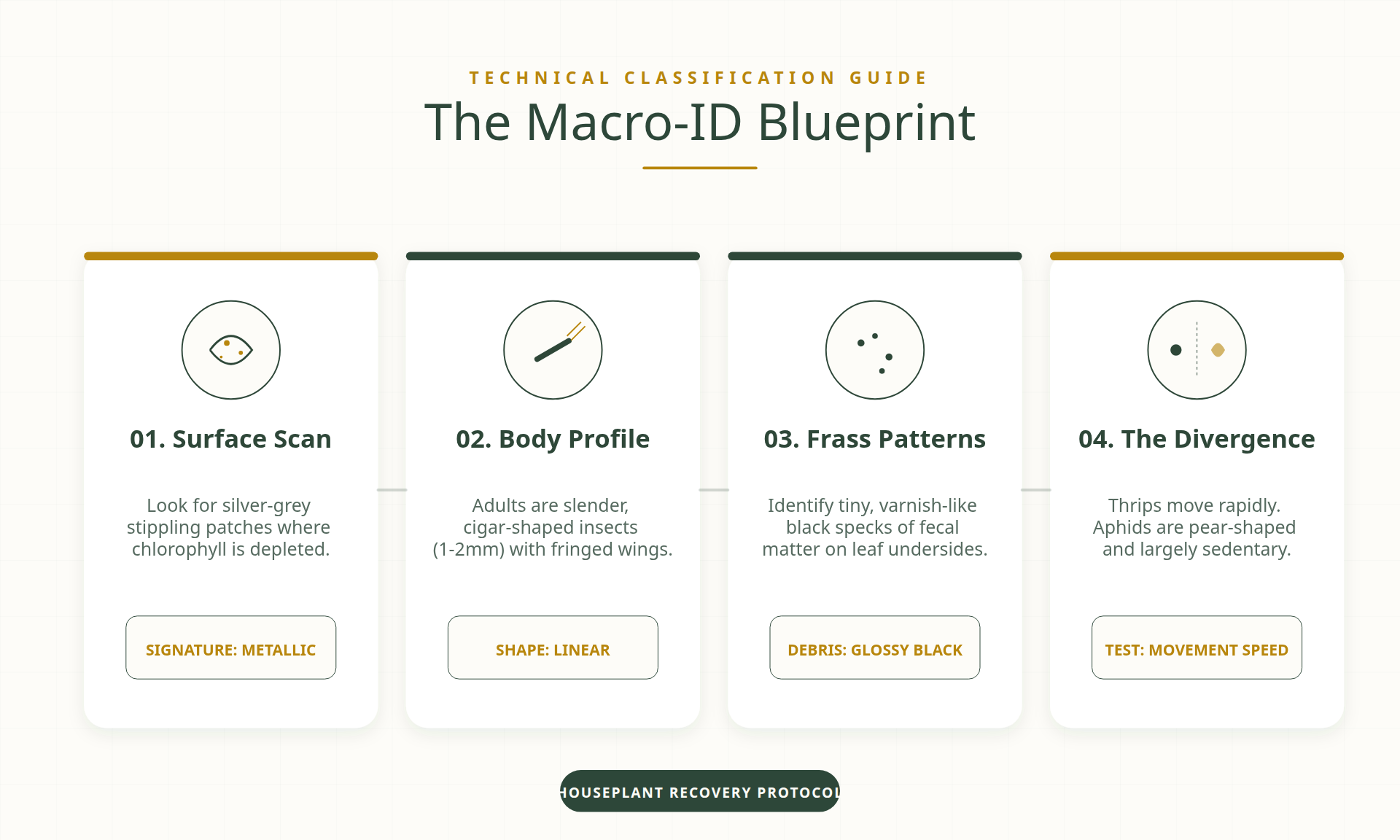 Thrips Eradication Strategies for Large Plant Collections 7 Macro photo of thrips damage and fecal specks on a leaf