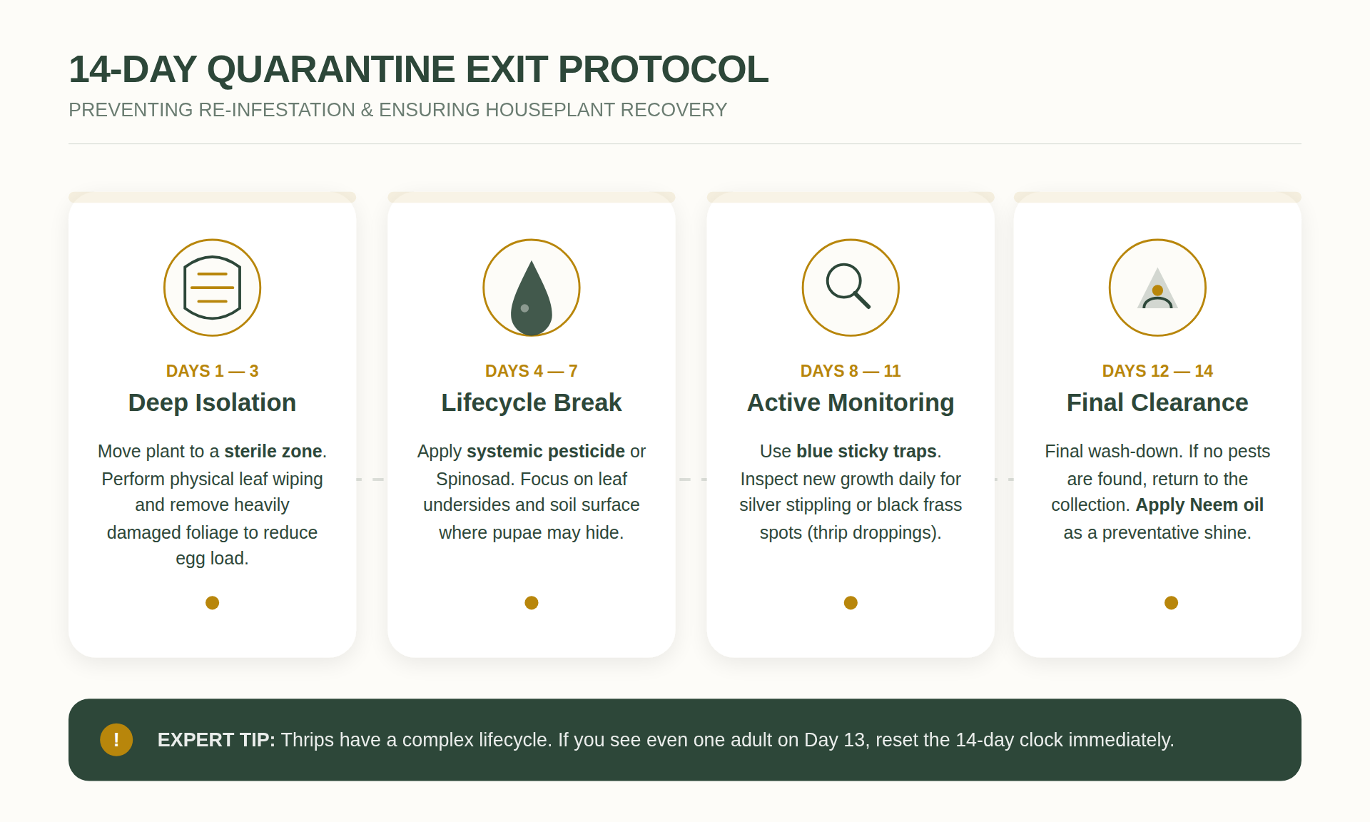 Thrips Eradication Strategies for Large Plant Collections 9 A plant in a clear isolation bin for quarantine