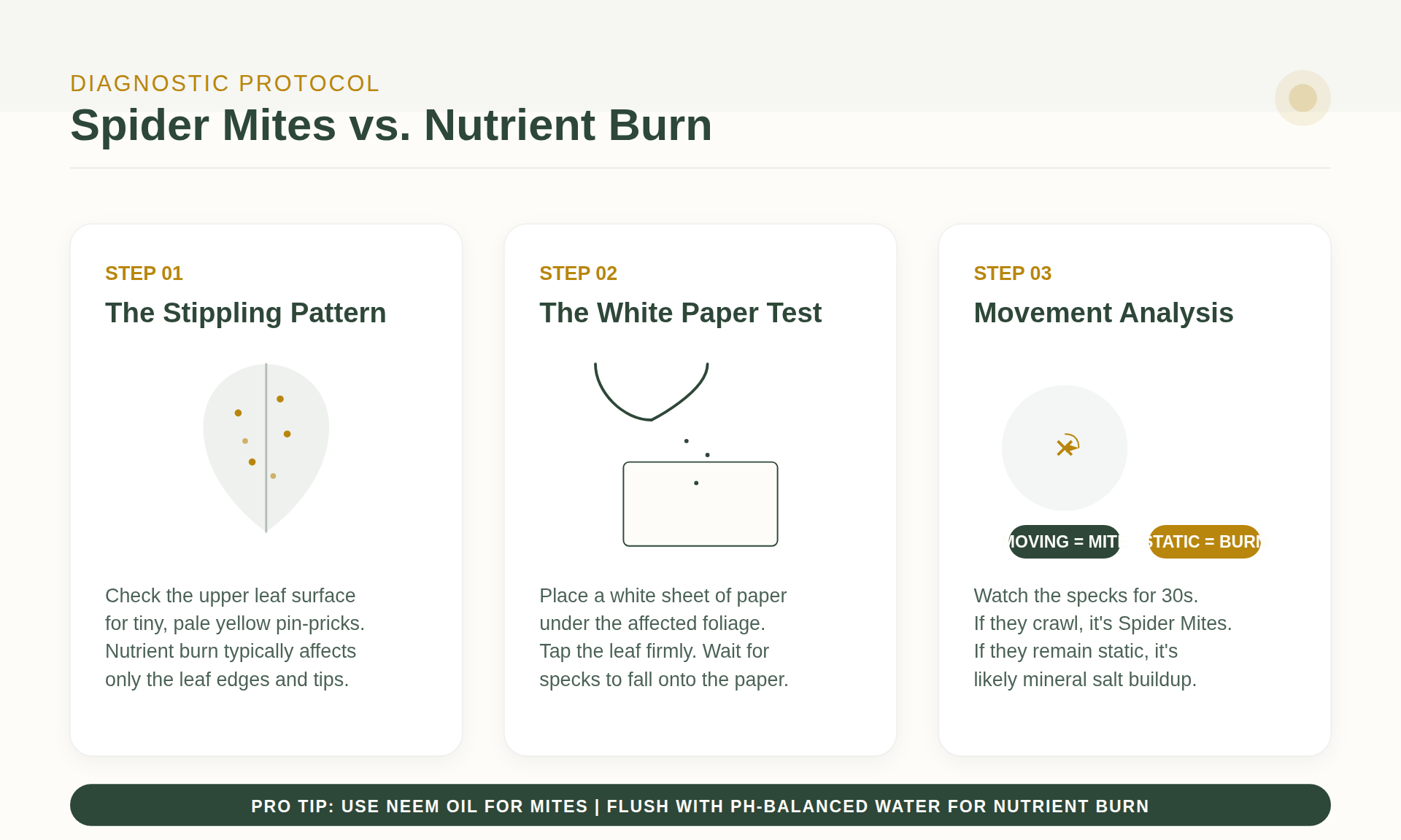 Is It Spider Mites or Nutrient Burn? The Seedling 'Stippling' Test