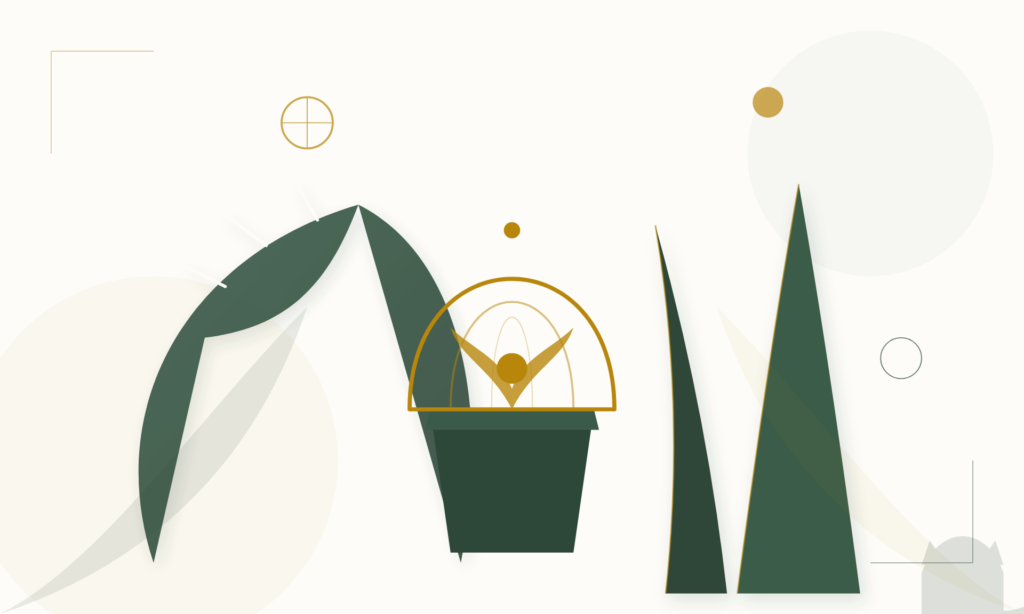 Protecting Indoor Plants from Cats: A Practical Guide