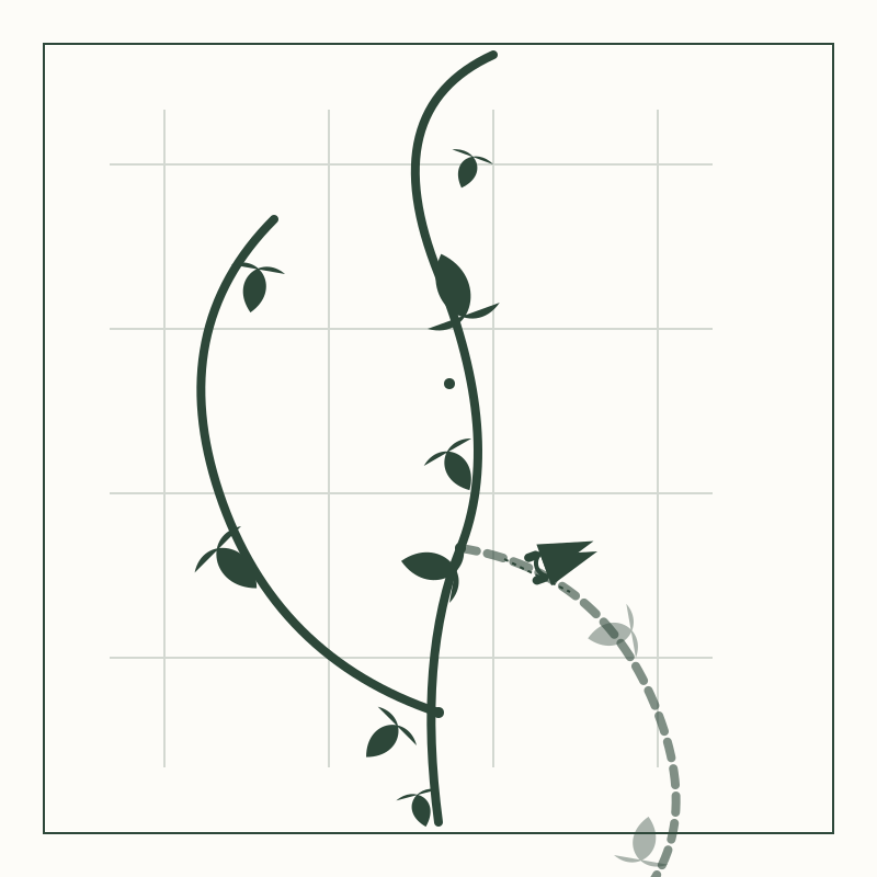 Management Guide for Overgrown Pothos Walls