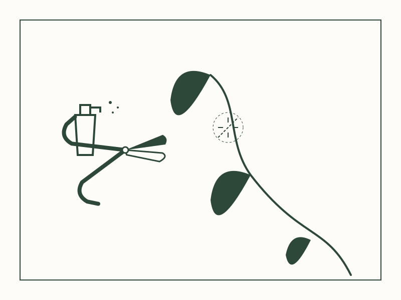 Surgical Precision: Tools and Sterilization Standards