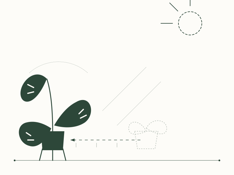 Best Practices for Rearranging Houseplants to Minimize Environmental Stress