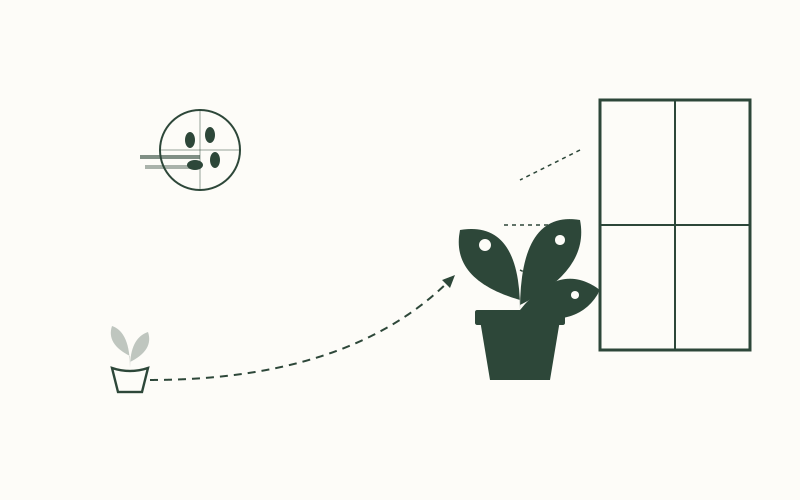 Technical diagram of chloroplast movement and photo-inhibition