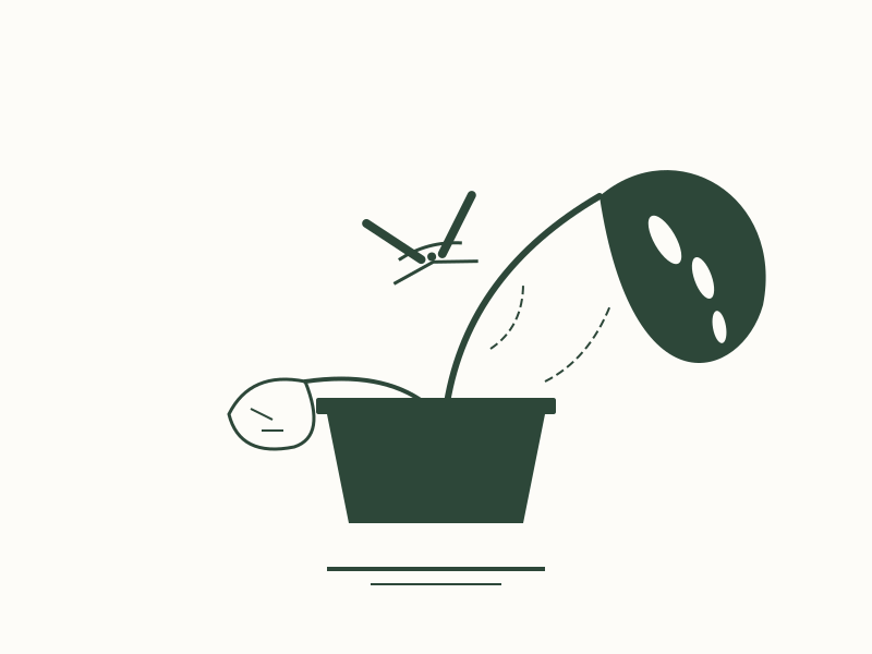 A Guide to Rescuing and Rehabilitating Clearance Plants