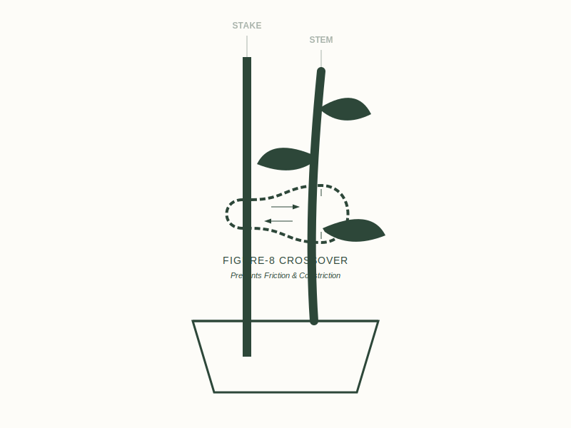 Advanced Bracing and Binding Techniques