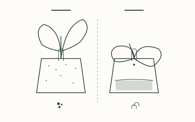 Understanding the Difference Between Moist and Wet Soil for Houseplants