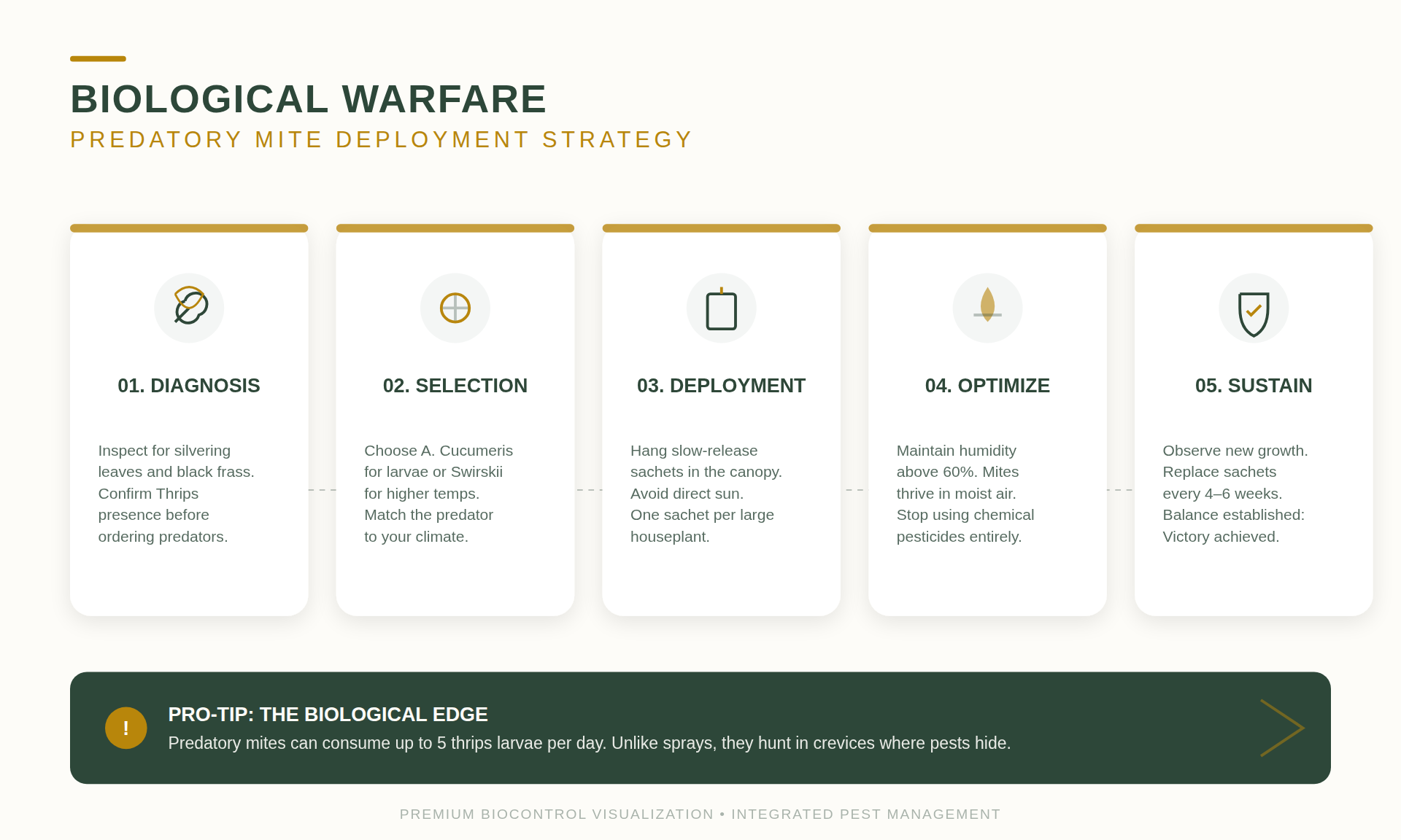Thrips Eradication Strategies for Large Plant Collections 5 A close view of Amblyseius cucumeris mites