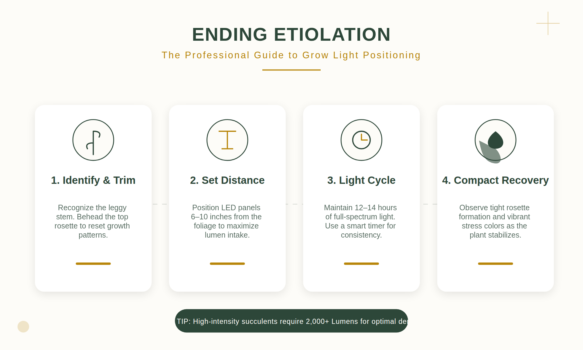 Grow Light Distance Requirements for Indoor Plants 6 Ending Etiolation: Stop Your Succulents from Stretching