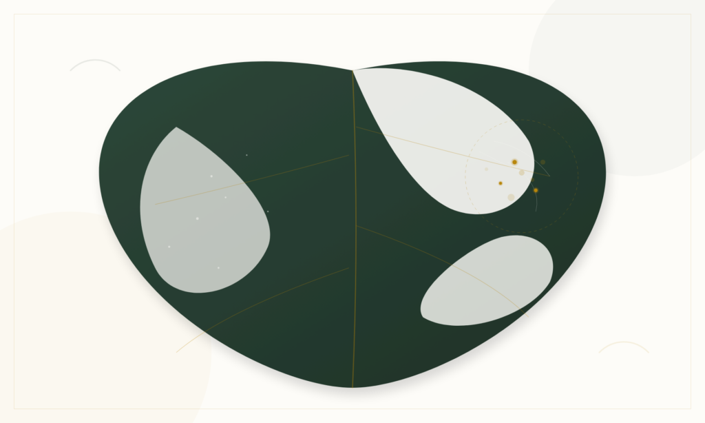 Is It Dust or Spider Mites? The 60-Second Diagnostic Guide