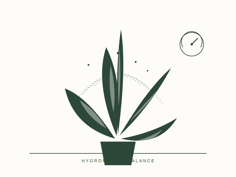 Stromanthe Triostar Care: Managing and Preventing Brown Leaf Edges 3 Substrate engineering for tropical plants