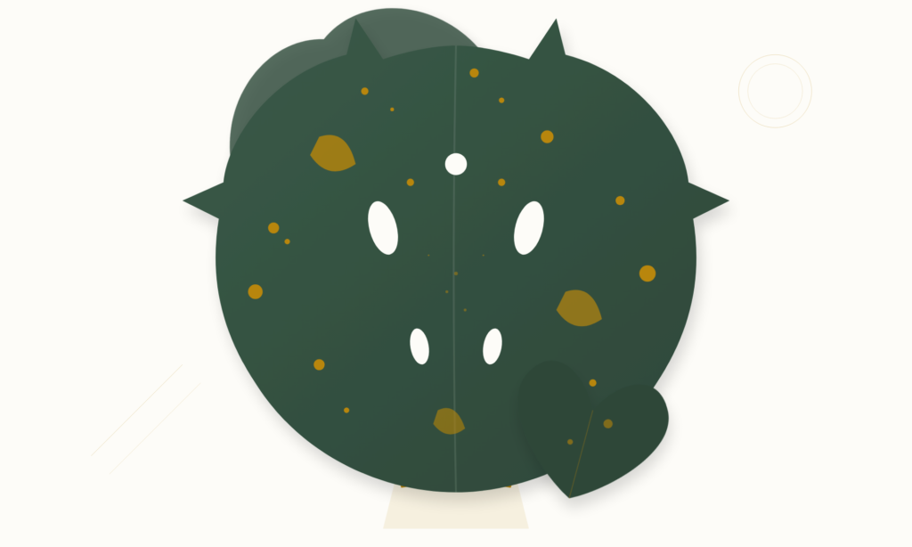 Big Box Thai Constellation Monstera: The Ultimate Survival & Care Guide