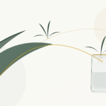Methods for Propagating and Gifting Spider Plant Offsets