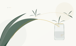Stop Wasting Spider Plant Babies: 7 Expert Ways to Propagate & Gift