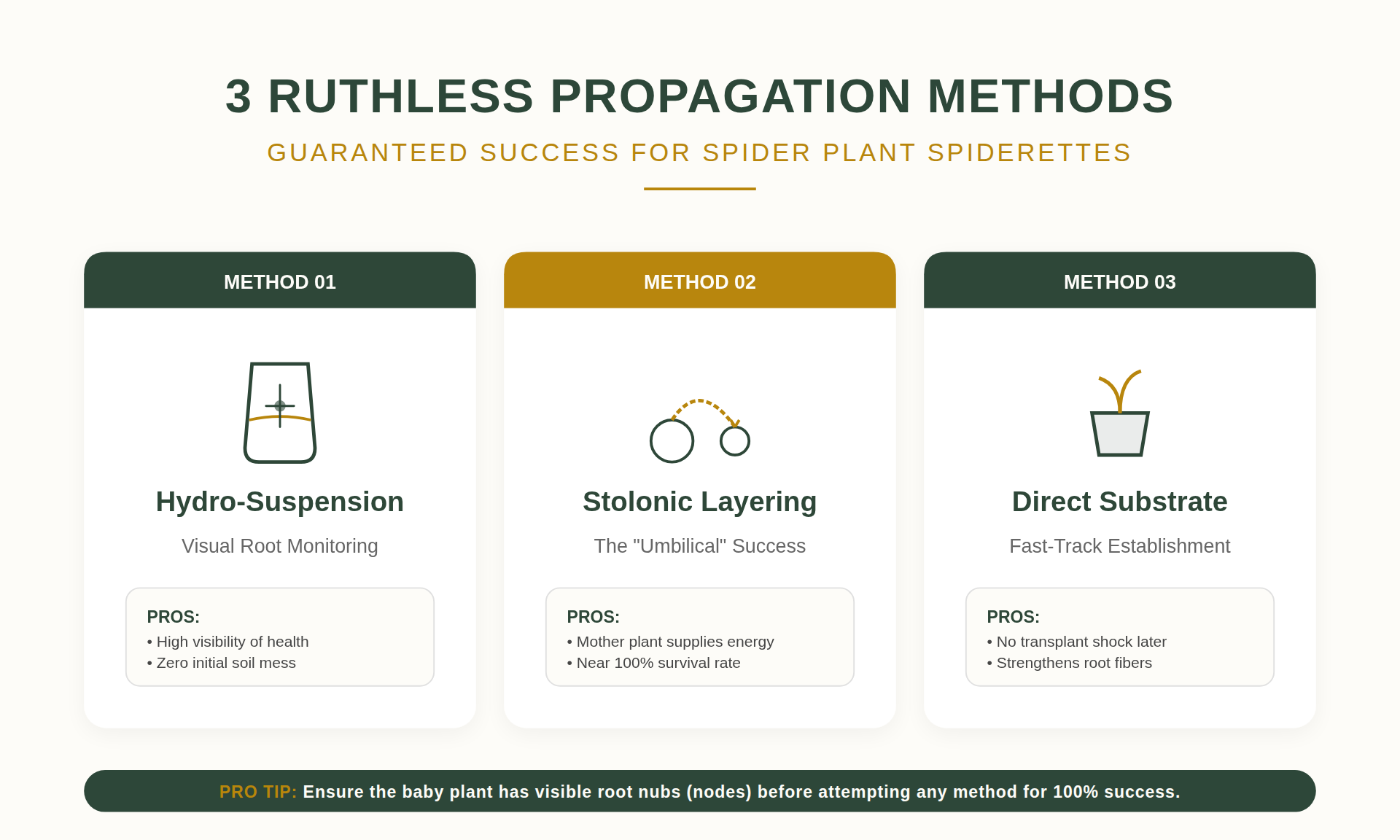 3 persistent Propagation Methods for Guaranteed Success