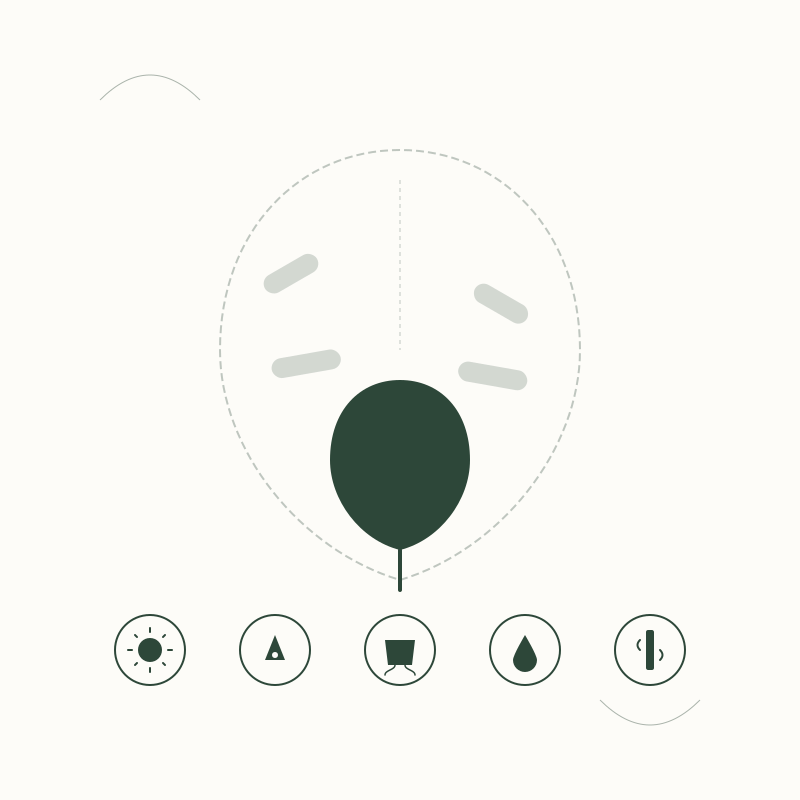 5 Reasons Why Monstera Leaves May Decrease in Size