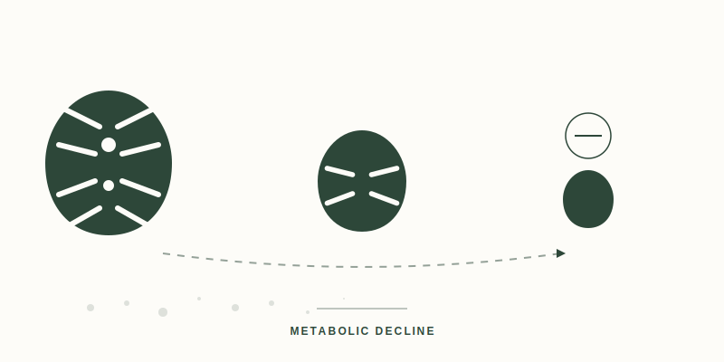 Metabolic Stunting: The Hidden Cost of Nutrient Deficiency