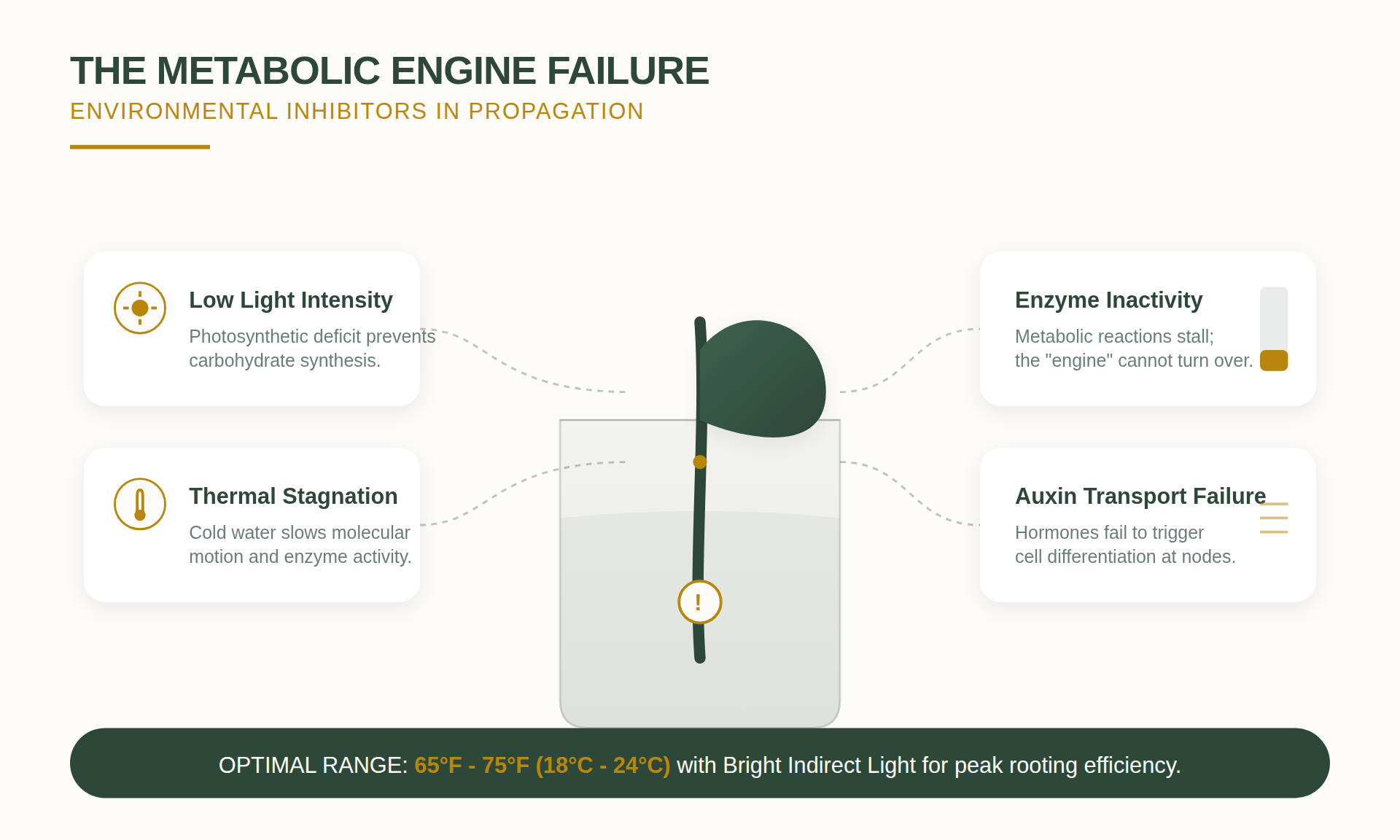 Cuttings on a propagation heat mat