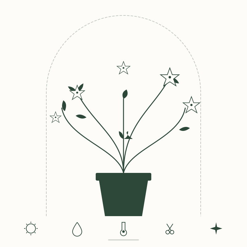 Factors Affecting Indoor Jasmine Blooms: Tips for Consistent Flowering