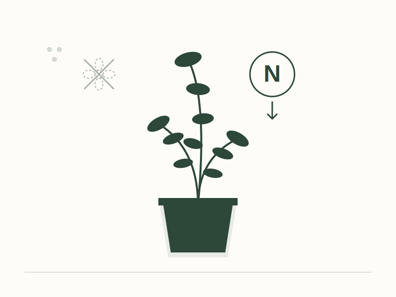 Factors Affecting Indoor Jasmine Blooms: Tips for Consistent Flowering 2 Nitrogen Levels and Reproductive Inhibition