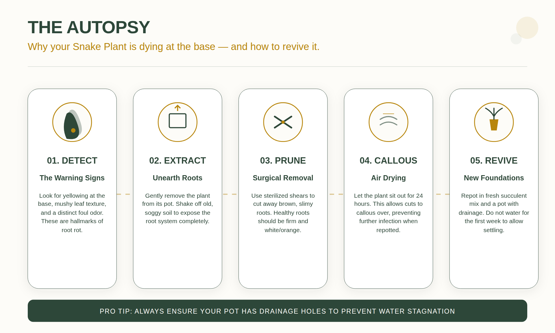 Root and Base Decay Analysis
