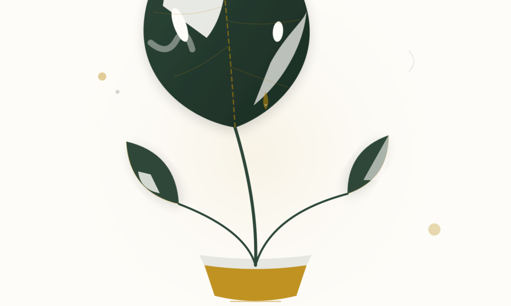 The Impact of Rigid Watering Schedules on Plant Health