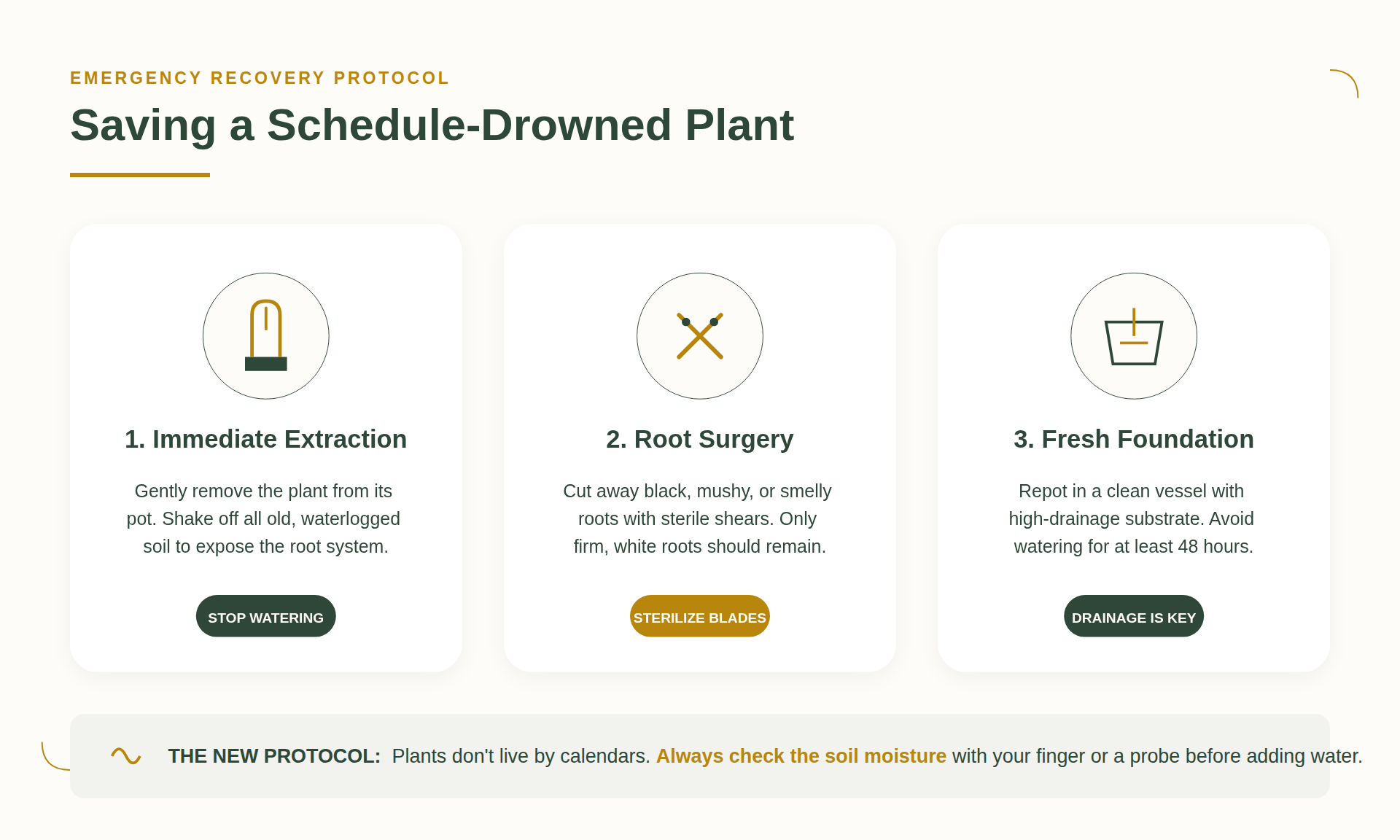 Remediation of Root Rot
