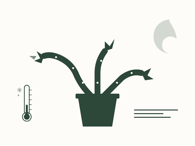 The Temperature 'Chill' Secret Competitors Miss